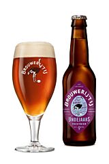 Brouwerij T IJ IJndejaars 33Cl