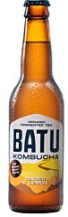 Batu Kombucha Ginger & Lime 33 Cl Nl Bio 01