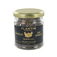 Plantin Morilles Zonder Steel Gedroogd