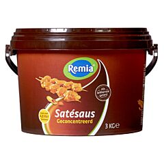 Remia Satepasta