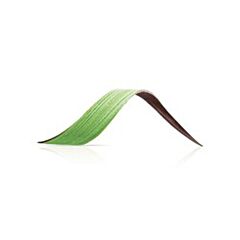 Dobla Twist Groen 1,75 Gr