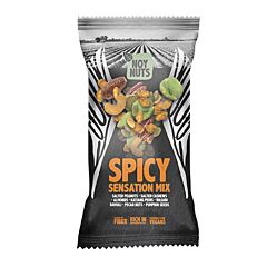 Noynuts Spicy Sensation Mix 45 Gram