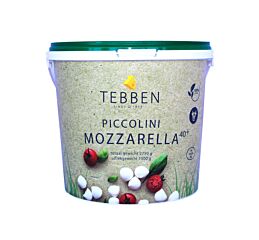 Tebben Kaas Koemozzarella Piccolini