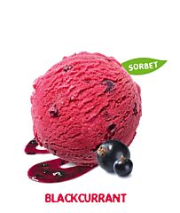 Movenpick Blackcurrant Sorbet