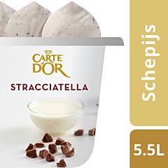 Carte D'or Roomijs Stracciatella