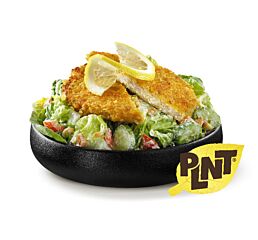 Plnt Kipschnitzel Vegetarische A 100 Gr Diepvries