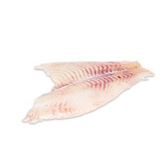 Tarbot Filet Zonder Vel Uit 1-2 Ca 800 Gram