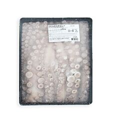 Octopus Whole Cleaned Raw Ma/Es Ca 3500 Gr. Diepvries