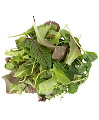 Mesclun