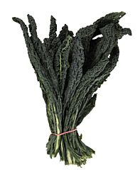 Palmkool Cavoli Nero