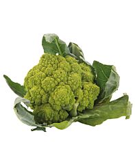 Bloemkool Romanesco