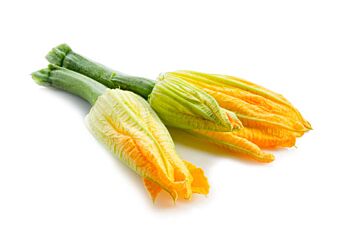 Courgette Fleur