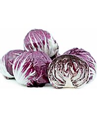 Sla Rood (Radicchio) Ca 300 Gr