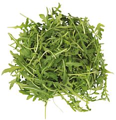 Rucola Sla