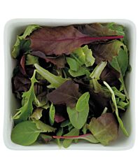 Mesclun