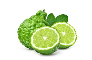 Limes Kaffir