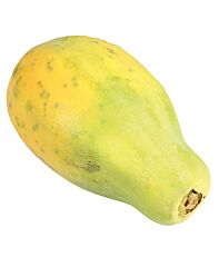 Papaya