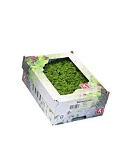 Koppert Cress Melissa Cress Solitair Eps-K