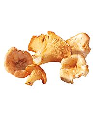 Cantharellen (Girolles)